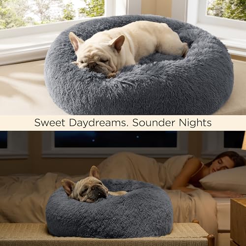 Calming Small Medium Dog Bed Donut Washable Puppy Bed (27"L x 27"W x 8"Th / Dark Grey)