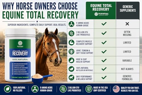 Feeds Equine Total Recovery Supplement (580 Grams)