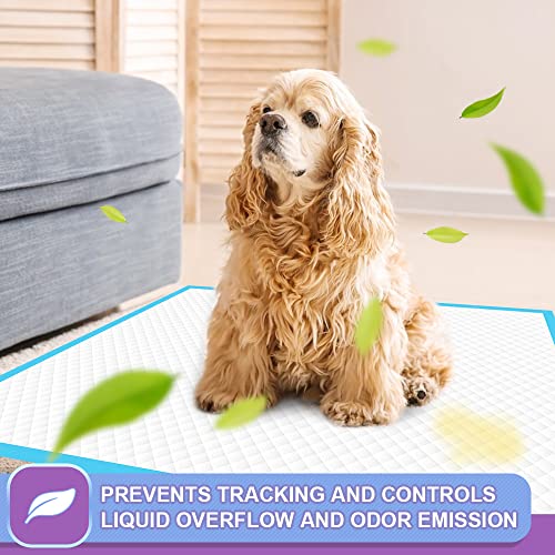 Puppy Pee Pads 22"x23" (22" x 23" (150 Count Standard))