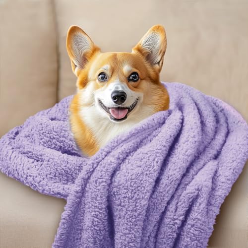3 Pack Soft Sherpa Fleece Blankets for Dogs Cats Puppies (Small (Pack of 3) / Purple)
