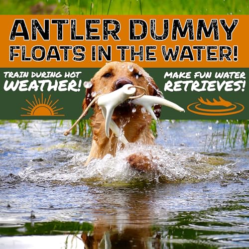 Shed Hunting Dog Training Kit