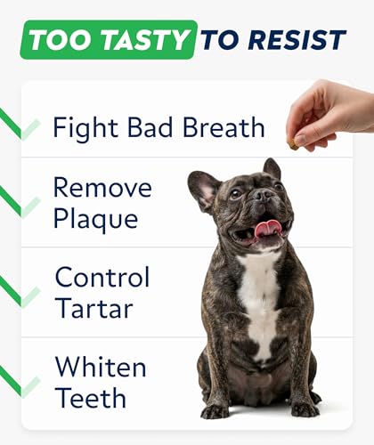 Advanced Dog Dental Chews & Breath Freshener (Dental Care Probiotic / 90Ct Dental Care)