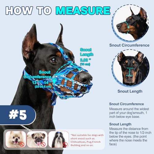 Dog Muzzle to Prevent Biting (Blue / Size 5)
