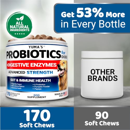 Probiotics for Dogs and Digestive Enzymes (Probiotics + Enzymes / 170 Chews)