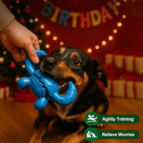 Dog Chew Toys for Aggressive Chewers (Blue Black / Large)
