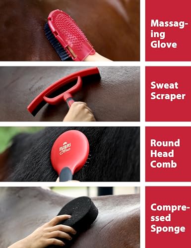 Horse Grooming Kit (Shadowberry)