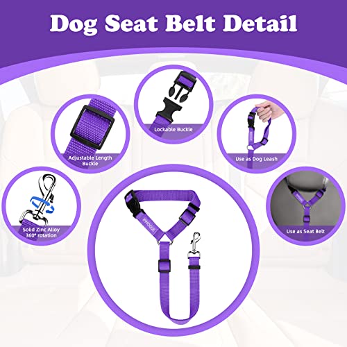 Dog Seat Belt for Car (Purple)