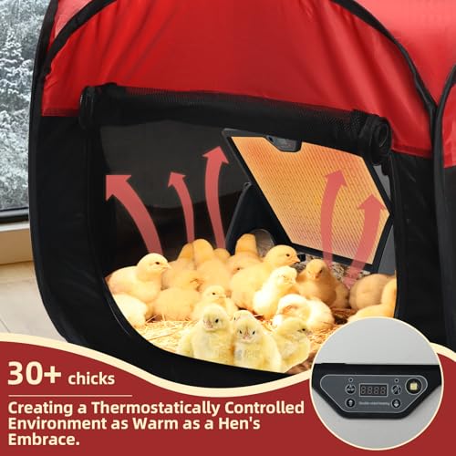 Chicken Brooder Box for Chick Starter Kit