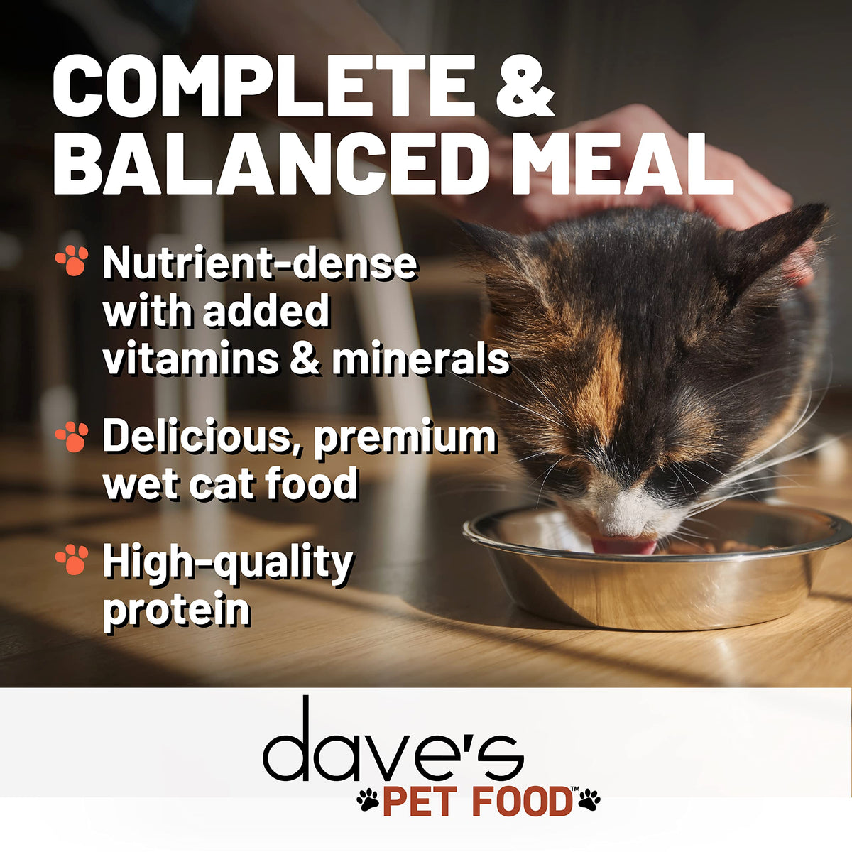 Grain Free Wet Cat Food (3 Ounce (Pack of 24))