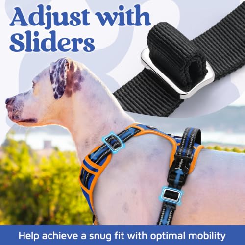 Dog Harness for Large (Royal Blue & Orange / X-Large)