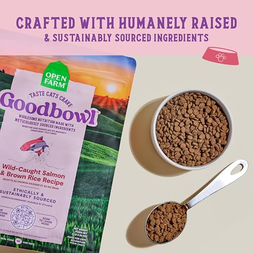 Goodbowl Dry Cat Food (3 Pound (Pack of 1))