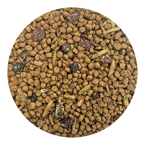 Berries & Bugs 3 lb (3 Pound (Pack of 1))