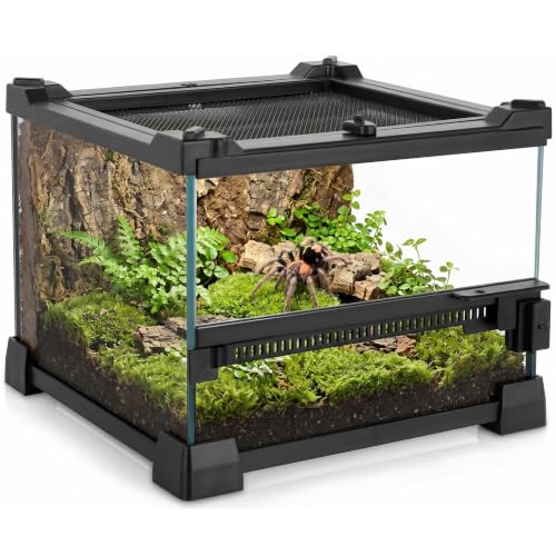 8"x8"x6" Reptile Terrarium