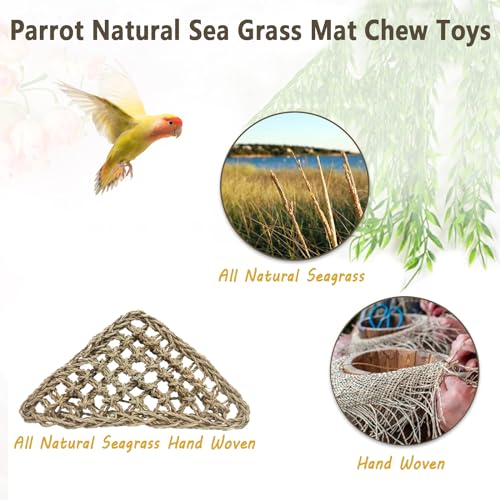 3 PCS Parrot Seagrass Mat