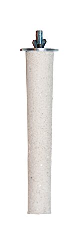 Pacific Perch Beach Walk Medium (Medium)