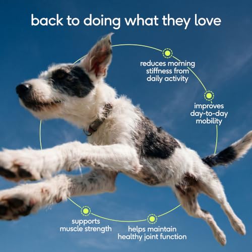 Hip & Joint Advanced Care Dog Joint Supplement Powder for Mobility & Movement Support (30 Count)
