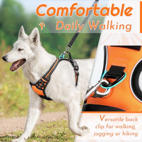 Dog Harness for Large Dogs (Large / Orange)