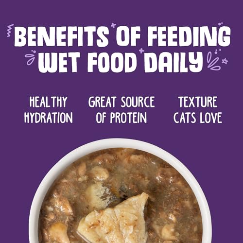 Classic Cat Food (5.5 Ounce (Pack of 24))