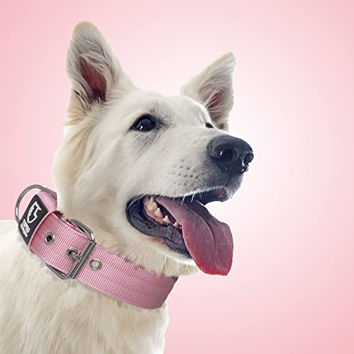 Heavy Duty Thick Dog Collar with Metal Buckle for Large Dogs (L – Fits Neck 18.9"-21.7" / Basic Pink)