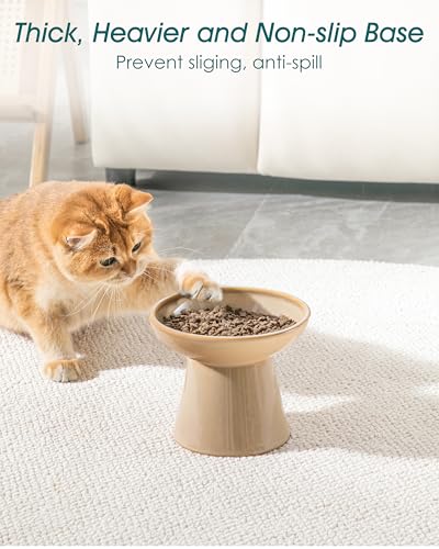 2 Pack Extra Wide Elevated Cat Bowls (Brown)