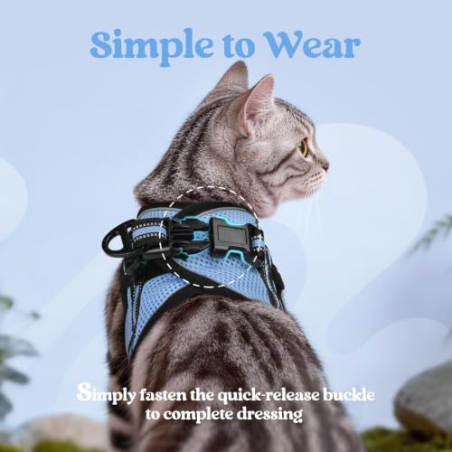 Cat Harness and Leash Set (XL / Light Blue)