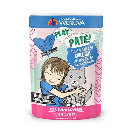 B.F.F. Play Best Feline Friend Paté Lovers (3 Ounce (Pack of 12))
