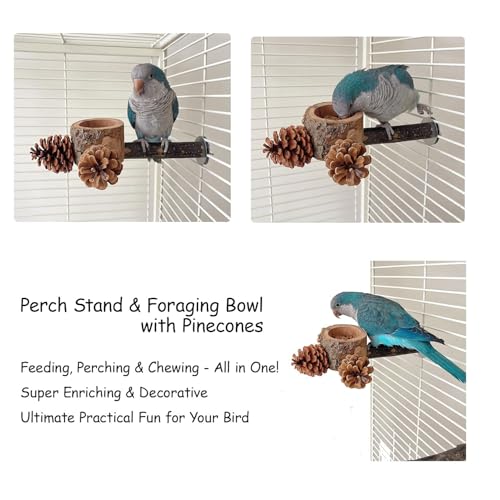 2 Pcs Bird Perch with Safe Bowl Wood & Pinecones (2 pack perches with bowl and pinecones)