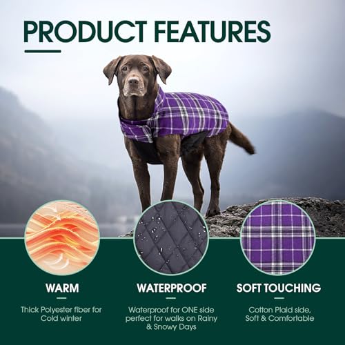 Waterproof Dog Coat (Purple / X-Large (Pack of 1))