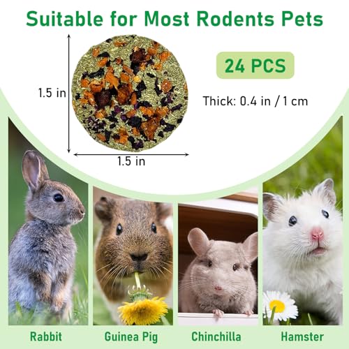 24 PCS Rabbit Chew Toys