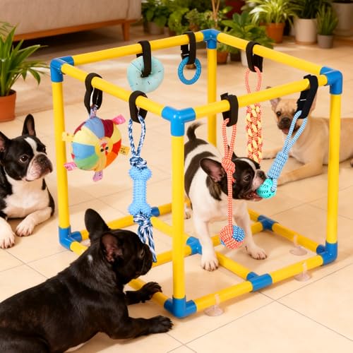 Puppy Play Gym for Small Dogs 10 Hanging Toys (Yellow & Blue)