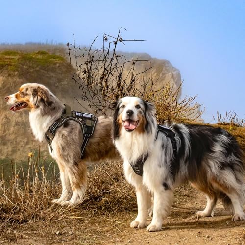 Tactical Dog Harness for Small (Grey / Small)