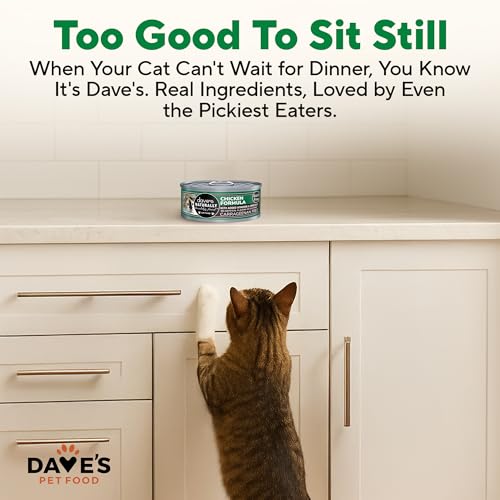 Grain Free Wet Canned Cat Food Pate (5.5 Ounce (Pack of 24))