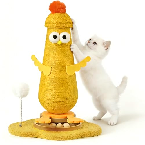 Kitten Toys for Indoor Cats Scratching Post