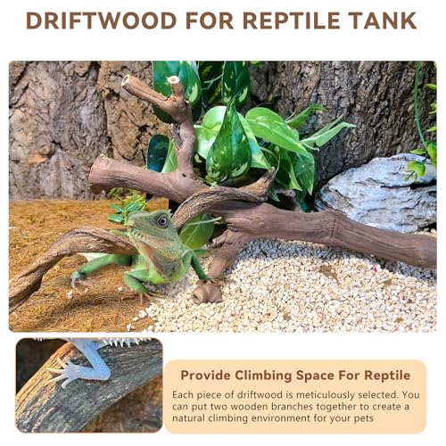 2PCS Reptile Wood Branches (1 Grapewood Branch + 1 Mountain Vine Branch)