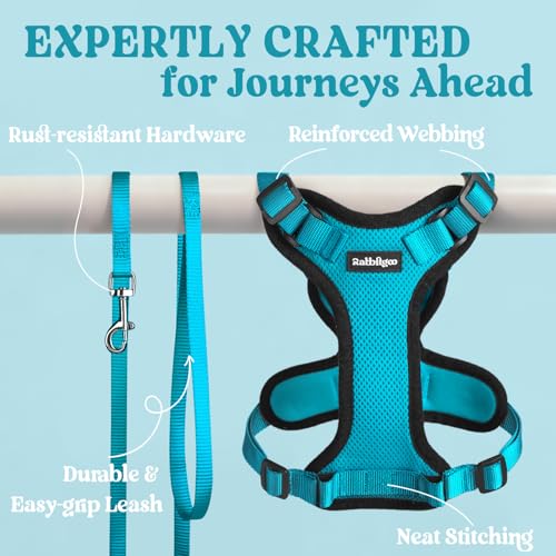 Cat Harness and Leash Set (Xs / Teal)