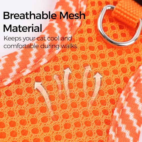 Cat Harness and Leash Set (Orange / Medium)
