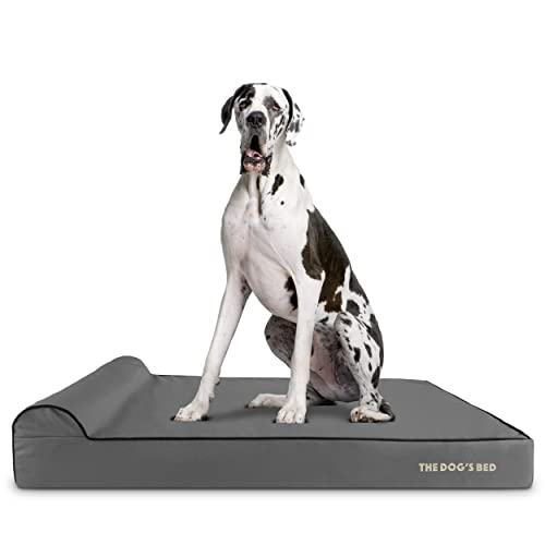 The Dog’s Bed Orthopedic Memory Foam Dog Bed with Headrest XXL 6 (Grey with Black Trim / XXL (54"L x 36"W x 6"Th))