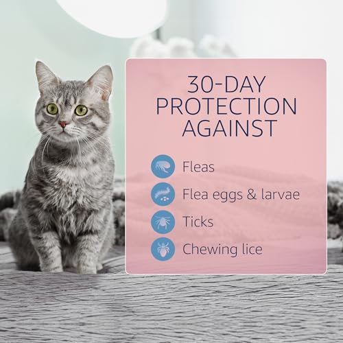 Flea and Tick Prevention for Cats (6-Month Supply)