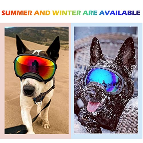 Large Dog Sunglasses