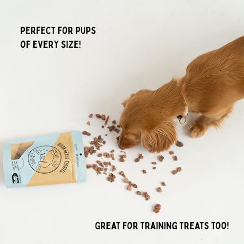 Winnie Lou Organic Jerky Dog Treats Made in The USA (2 Pack (5 oz))