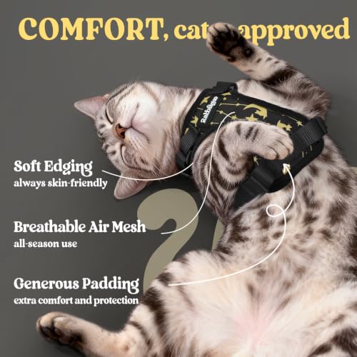 Cat Harness and Leash Set (Xxs / Lunar Prowl)
