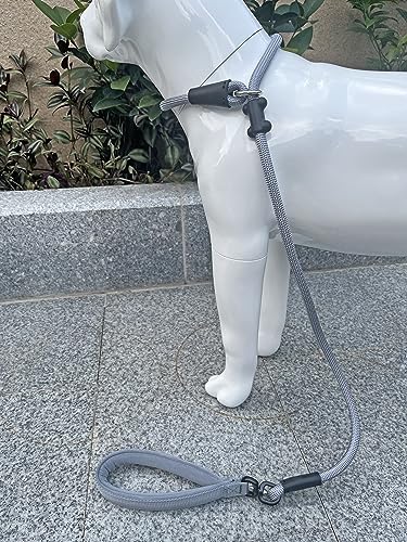 Slip Lead Dog Leash (1/2"×4ft / Grey)