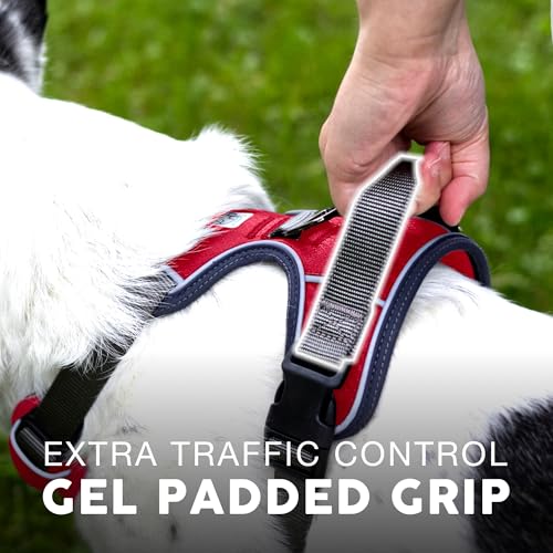 Embark No Pull Dog Harness (S / Red)