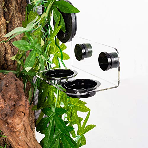 Magnetic Reptile Ledge