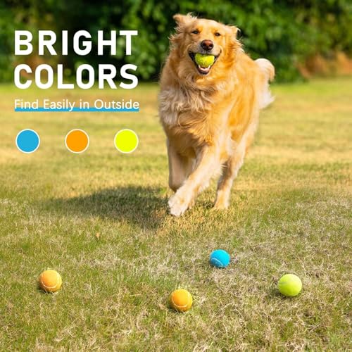 Tennis Balls for Dogs 6 Pack 2.5” (2.5" Squeaky / 6 Pack, 3 Colors)