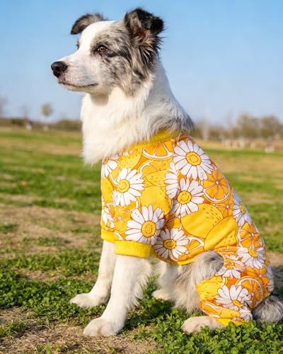 4 Pack Dinosaur Dog Pajamas for Extra Large Dogs (XXX-Large)
