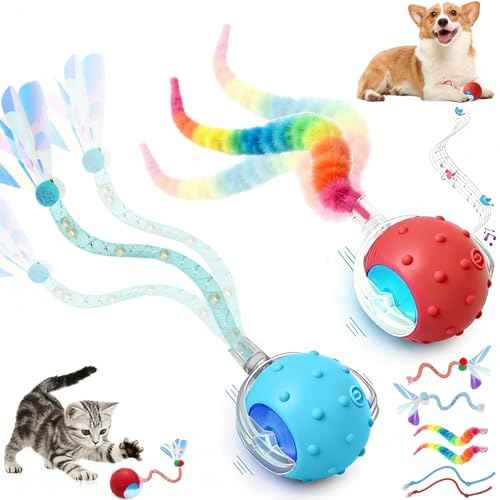 2PCS Interactive Cat Toys for Indoor Cats with 6 Tails (2pc R+B)
