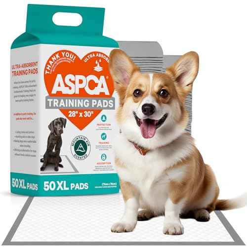 Dog Training Pads (Mountain / 50 Count - (XL 28 x 30))