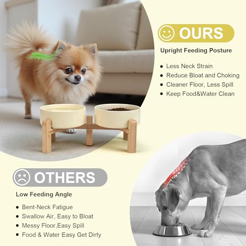 Elevated Dog Bowls Ceramic (5.1 in - 1.7 cups / Beige)