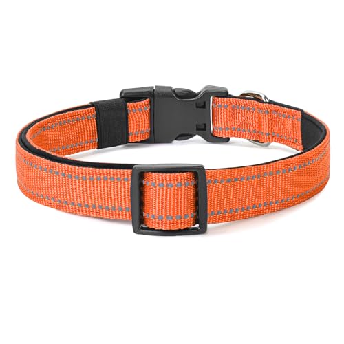Reflective Dog Collar (Orange / L:width 1"neck 17.5-27")